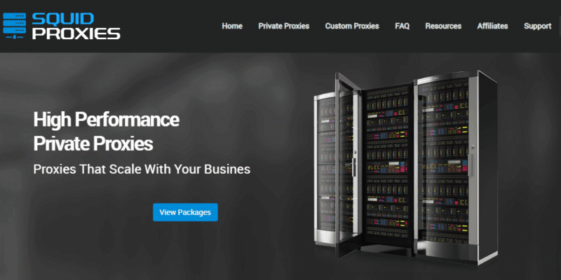 Squid Proxies Coupon, Promo Code – Valid for 2024